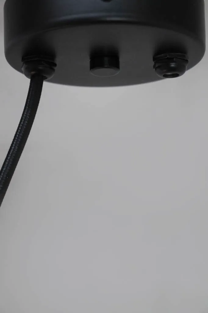 Bonnie Curve Pendant Light