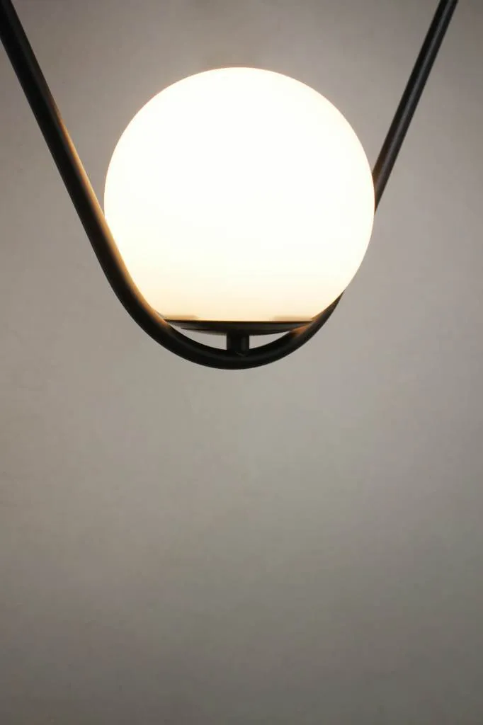 Bonnie Curve Pendant Light