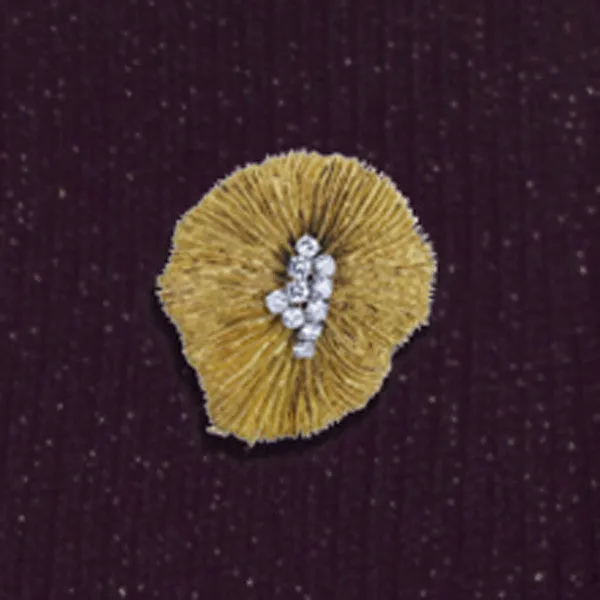 Gold & Diamond Pin