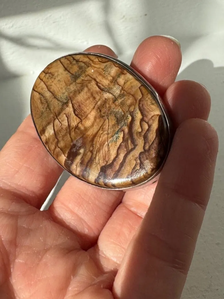 Vintage 1940's Picture Jasper Brooch